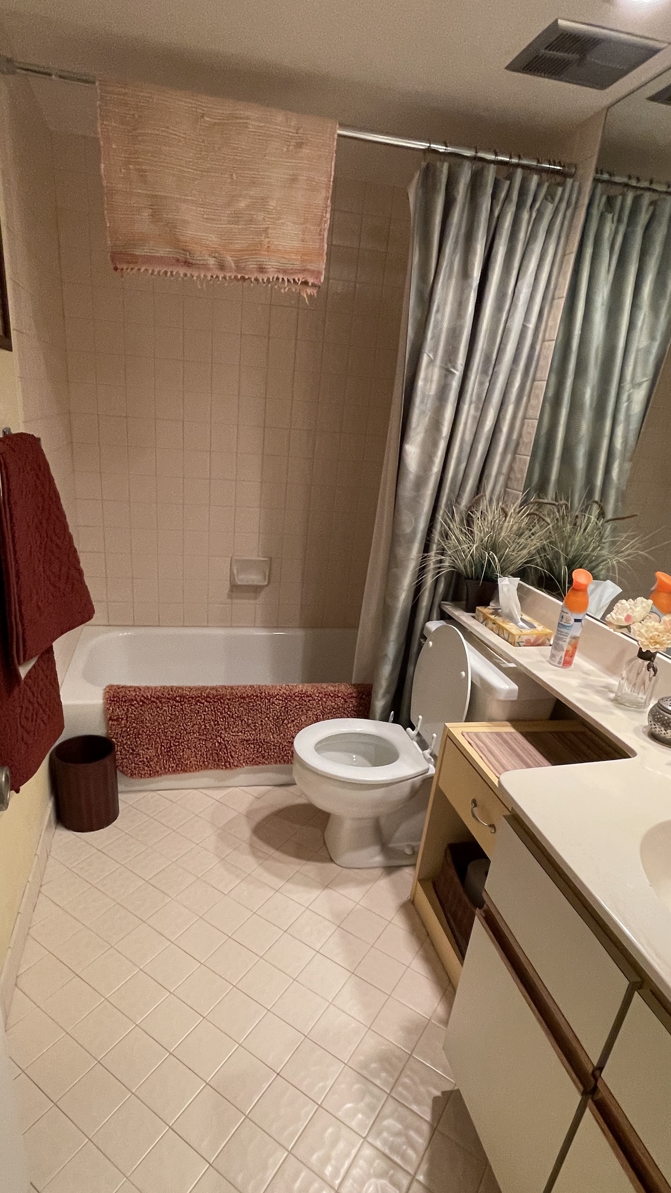 Bathroom before tub-to-shower conversion, showing the original bathtub, wall tile, toilet, and vanity.